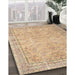 Machine Washable Traditional Peru Brown Rug in a Family Room, wshtr909