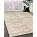 Machine Washable Traditional Tan Brown Rug in a Family Room, wshtr916