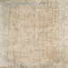Square Traditional Brown Persian Rug, tr918