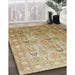 Machine Washable Traditional Light Brown Rug in a Family Room, wshtr91