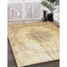 Traditional Brown Gold Medallion Rug in Family Room, tr92