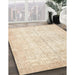 Machine Washable Traditional Gold Rug in a Family Room, wshtr936