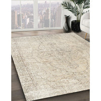 Traditional Light French Beige Brown Persian Rug, tr938