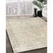 Traditional Light French Beige Brown Persian Rug in Family Room, tr938