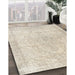 Machine Washable Traditional Light French Beige Brown Rug in a Family Room, wshtr938