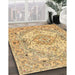 Traditional Chrome Gold Yellow Persian Rug in Family Room, tr939