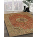 Machine Washable Traditional Mahogany Brown Rug in a Family Room, wshtr93