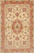 Machine Washable Traditional Orange Rug, wshtr941