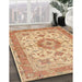 Traditional Orange Persian Rug in Family Room, tr941