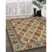 Machine Washable Traditional Sepia Brown Rug in a Family Room, wshtr942