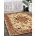 Traditional Red Persian Rug in Family Room, tr946