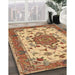 Machine Washable Traditional Red Rug in a Family Room, wshtr946