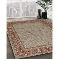 Traditional Light French Beige Brown Persian Rug, tr951