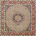 Square Traditional Light French Beige Brown Medallion Rug, tr952