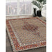 Traditional Light French Beige Brown Persian Rug in Family Room, tr953