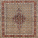 Square Traditional Light French Beige Brown Persian Rug, tr953