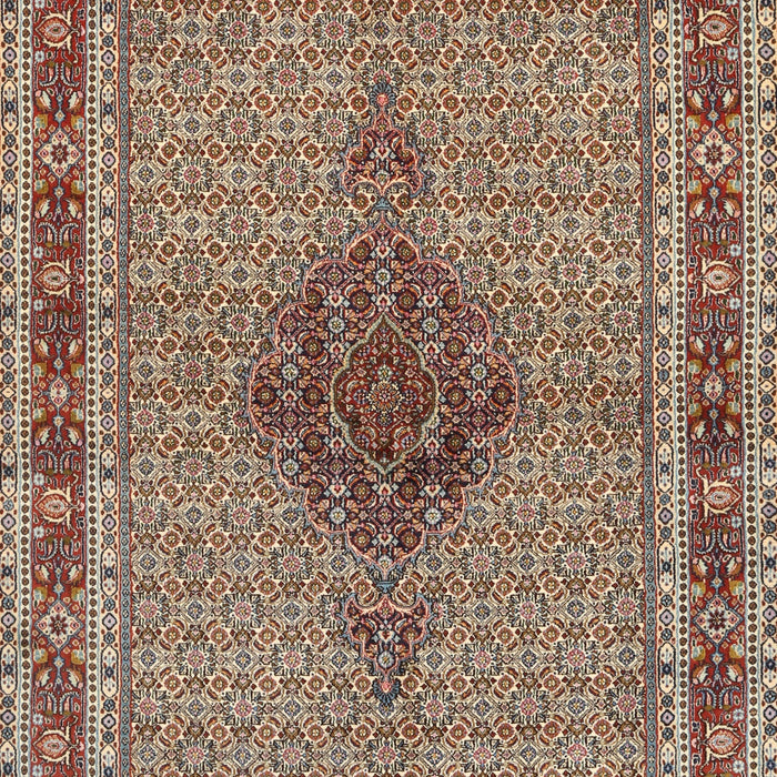 Traditional Light French Beige Brown Persian Rug, tr953