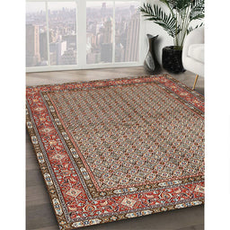 Traditional Light French Beige Brown Persian Rug in Family Room, tr954