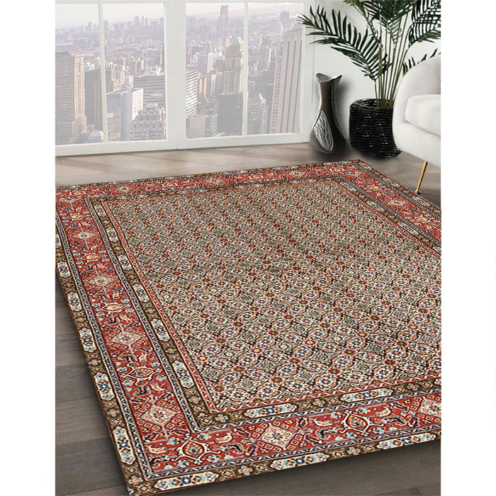 Traditional Light French Beige Brown Persian Rug in Family Room, tr954