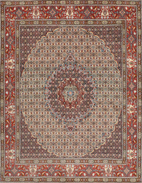 Machine Washable Traditional Light French Beige Brown Rug, wshtr957