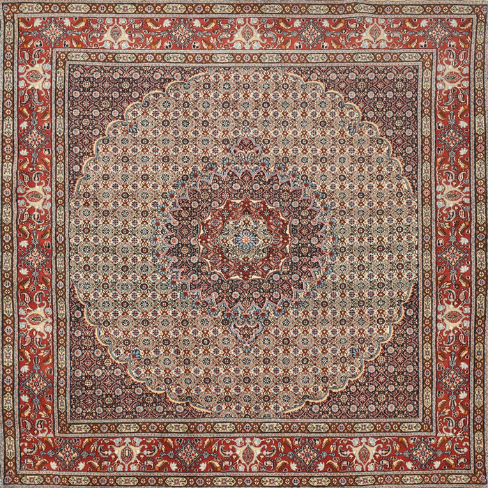 Square Traditional Light French Beige Brown Medallion Rug, tr957