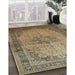 Machine Washable Traditional Red Brown Rug in a Family Room, wshtr95