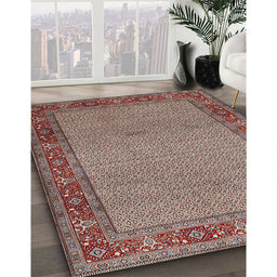 Traditional Light French Beige Brown Persian Rug in Family Room, tr960