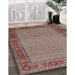 Traditional Light French Beige Brown Persian Rug in Family Room, tr960