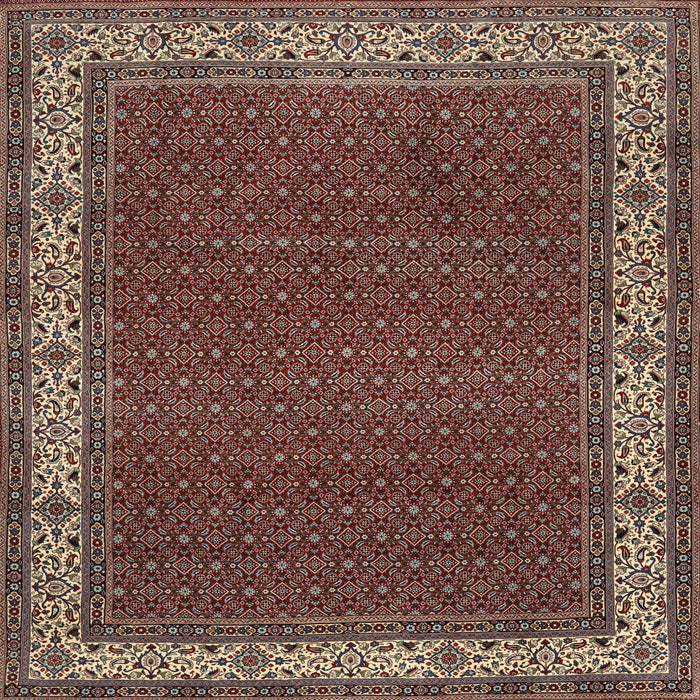 Square Traditional Camel Brown Persian Rug, tr961