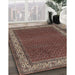 Machine Washable Traditional Camel Brown Rug in a Family Room, wshtr961