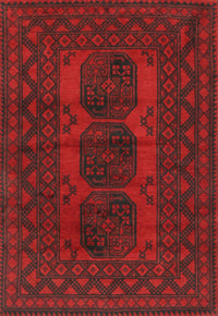 Machine Washable Traditional Red Rug, wshtr963