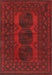 Machine Washable Traditional Red Rug, wshtr963