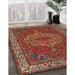 Machine Washable Traditional Dark Almond Brown Rug in a Family Room, wshtr970