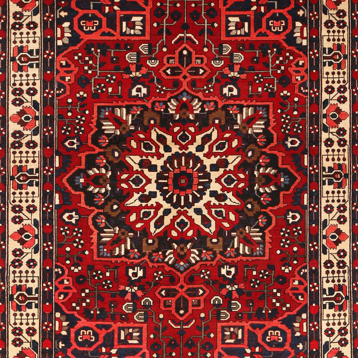 Traditional Brown Persian Rug, tr972