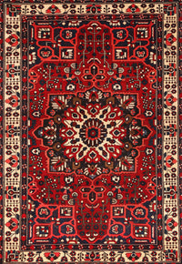 Machine Washable Traditional Brown Rug, wshtr972