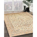 Machine Washable Traditional Khaki Gold Rug in a Family Room, wshtr984