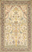 Traditional Khaki Gold Persian Rug, tr985