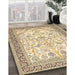 Machine Washable Traditional Khaki Gold Rug in a Family Room, wshtr985