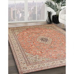 Traditional Brown Medallion Rug in Family Room, tr991