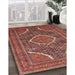 Traditional Orange Salmon Pink Medallion Rug in Family Room, tr992