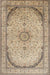 Traditional Brown Medallion Rug, tr999