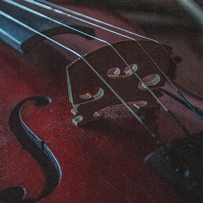 Ahgly Company Indoor Rectangle Music Cello Area Rugs, 8' x 12'