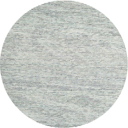 Round Contemporary Gunmetal Gray Modern Rug, con1738
