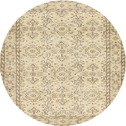 Round Machine Washable Contemporary Khaki Gold Rug, wshcon489