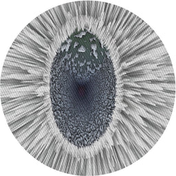 Round Patterned Ash Gray Novelty Rug, pat1055