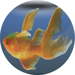 Round Machine Washable Transitional Gray Rug, wshpat1241