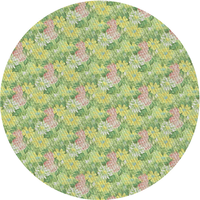 Round Patterned Tea Green Novelty Rug, pat1268