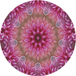 Round Machine Washable Transitional Dark Hot Pink Rug, wshpat1301