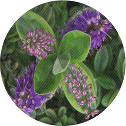 Round Machine Washable Transitional Hazel Green Rug, wshpat1302