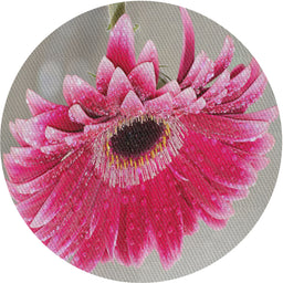 Round Machine Washable Transitional Silver Pink Rug, wshpat1303